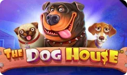 Track Casino giochi The Dog House